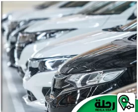 شركة توصيل من مكة الى المدينة